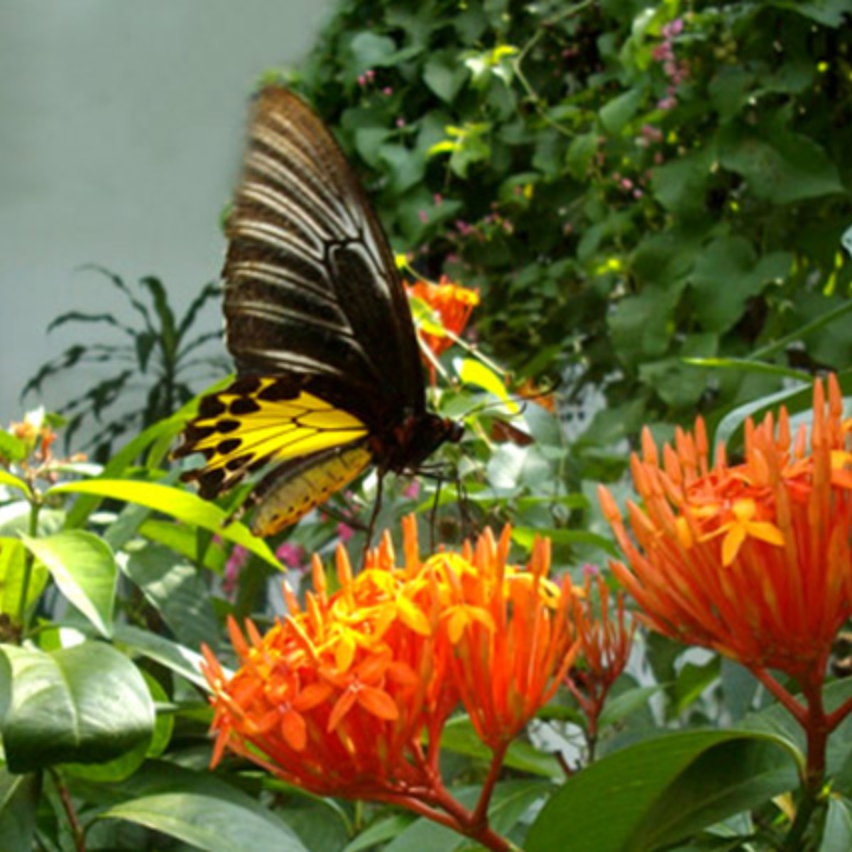 Image for card with title Tun Razak Heritage Park