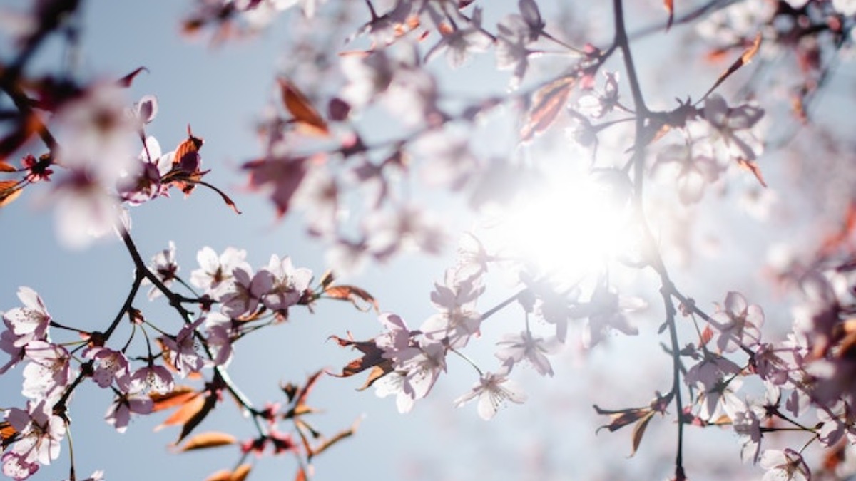 Image for card with title Major revitalization project on the way